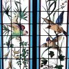 Vitraux aux oiseaux exotiques 14 Vitraux aux oiseaux exotiques 14