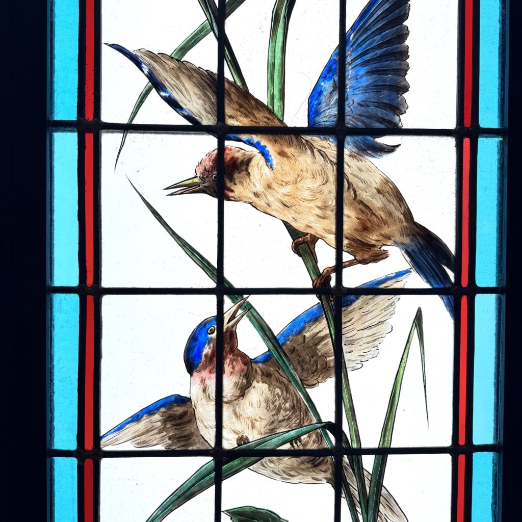 Vitraux aux oiseaux exotiques 8 Vitraux aux oiseaux exotiques 8