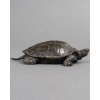 Sculpture – Tortue N°2 , Antoine-Louis Barye (1795-1875) – Bronze 10