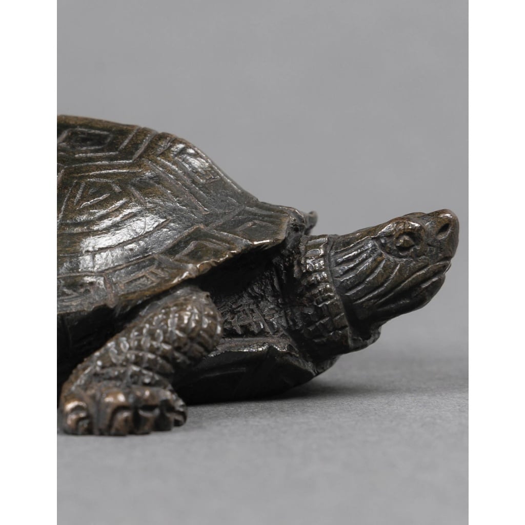 Sculpture – Tortue N°2 , Antoine-Louis Barye (1795-1875) – Bronze 7