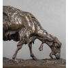 Sculpture – Chèvre Broutant , Pierre – Jules Mêne (1810-1879) – Bronze 17 Sculpture – Chèvre Broutant , Pierre – Jules Mêne (1810-1879) – Bronze 17