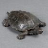 Sculpture – Tortue N°2 , Antoine-Louis Barye (1795-1875) – Bronze 9