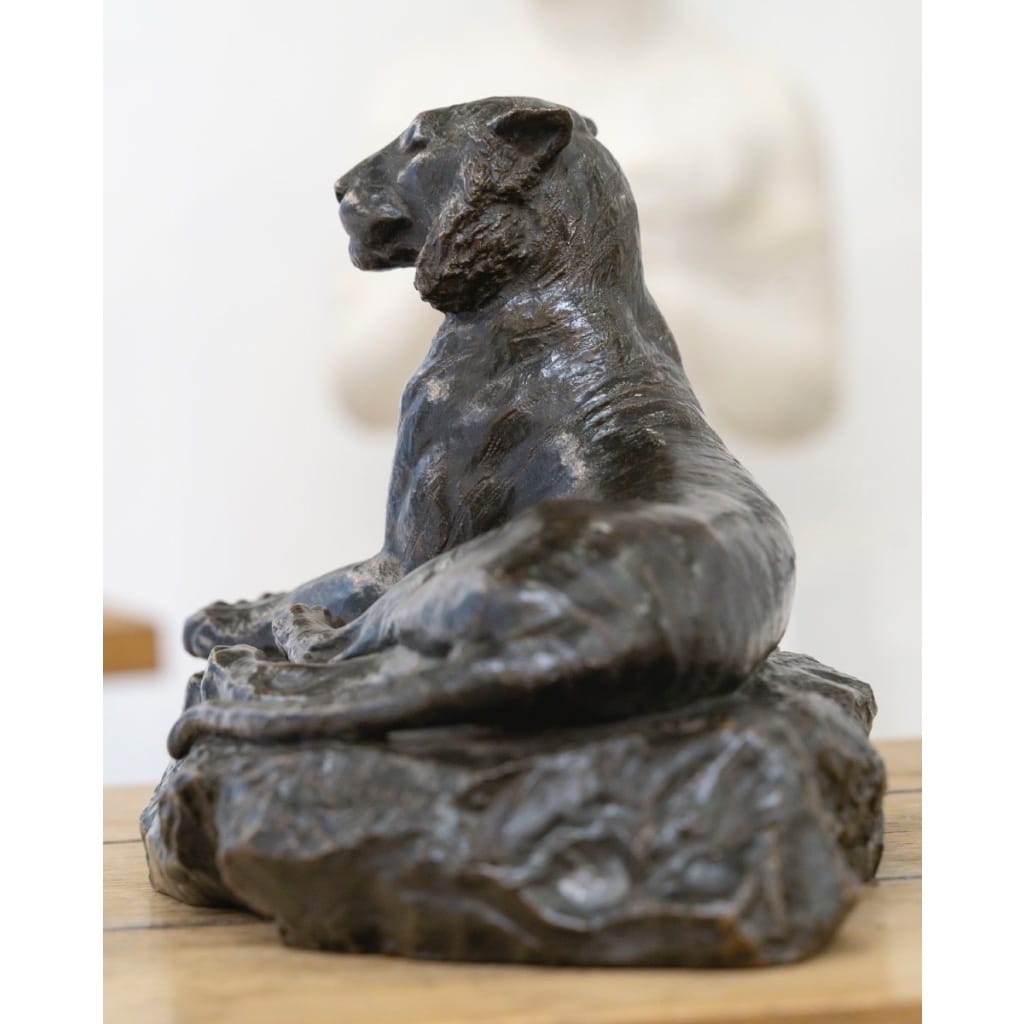 Sculpture – Le Tigre Couché , François Auguste Hippolyte Peyrol (1856-1929) – Bronze 7 Sculpture – Le Tigre Couché , François Auguste Hippolyte Peyrol (1856-1929) – Bronze 7