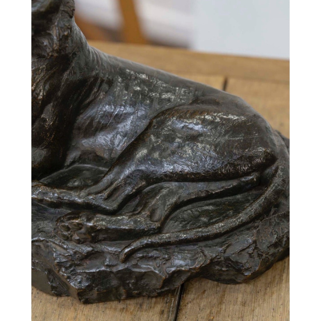 Sculpture – Le Tigre Couché , François Auguste Hippolyte Peyrol (1856-1929) – Bronze 8 Sculpture – Le Tigre Couché , François Auguste Hippolyte Peyrol (1856-1929) – Bronze 8