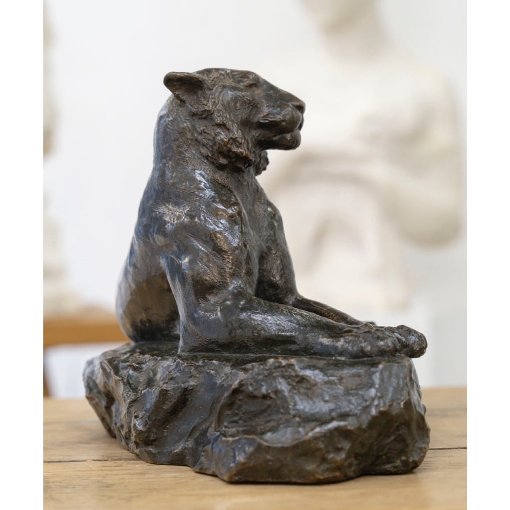 Sculpture – Le Tigre Couché , François Auguste Hippolyte Peyrol (1856-1929) – Bronze 5 Sculpture – Le Tigre Couché , François Auguste Hippolyte Peyrol (1856-1929) – Bronze 5