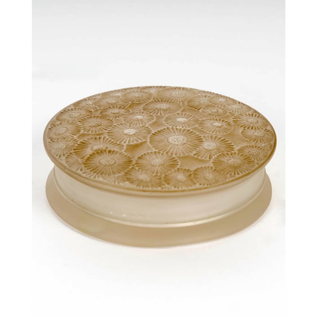 Boîte « Marguerites » verre blanc patiné sépia de René LALIQUE 3 Boîte « Marguerites » verre blanc patiné sépia de René LALIQUE 3