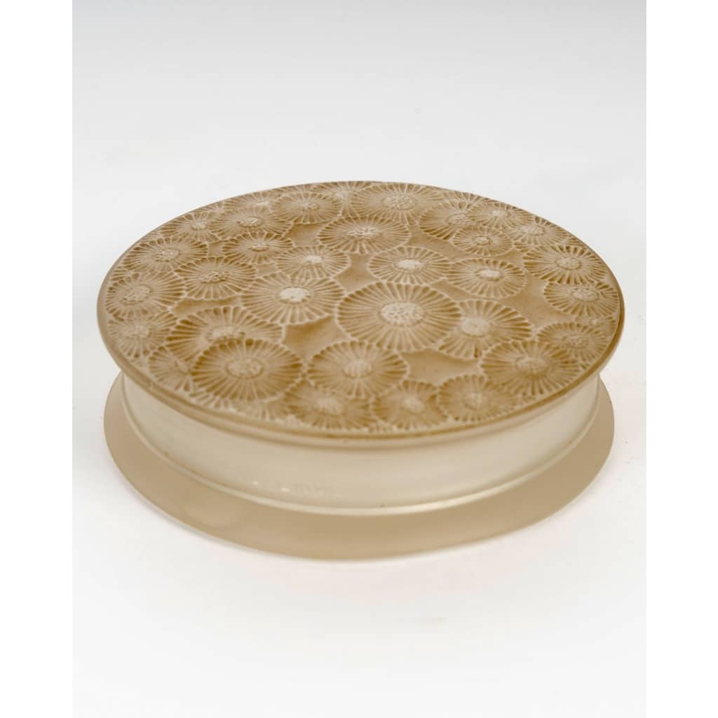 Boîte « Marguerites » verre blanc patiné sépia de René LALIQUE 2 Boîte « Marguerites » verre blanc patiné sépia de René LALIQUE 2