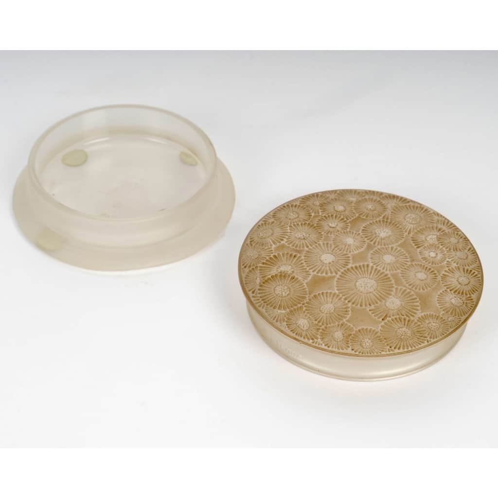 Boîte « Marguerites » verre blanc patiné sépia de René LALIQUE 4 Boîte « Marguerites » verre blanc patiné sépia de René LALIQUE 4