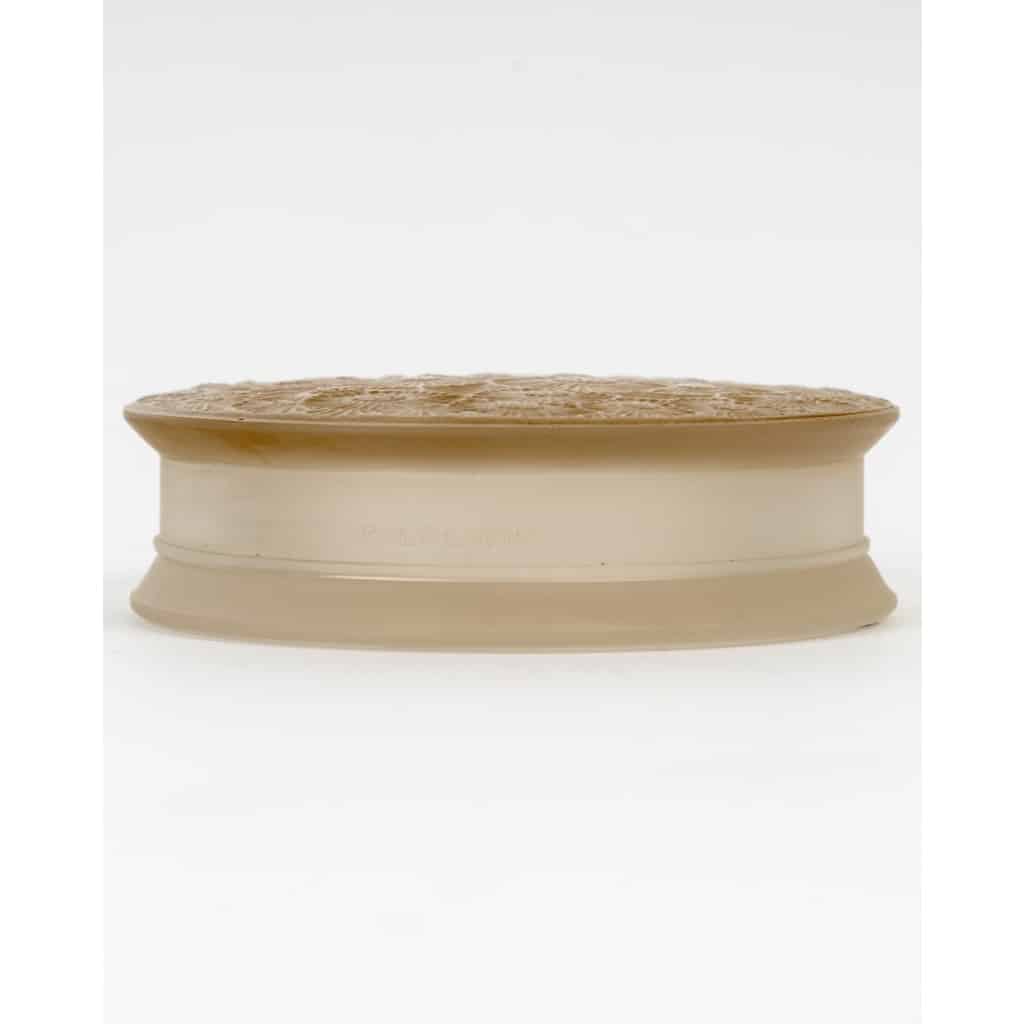 Boîte « Marguerites » verre blanc patiné sépia de René LALIQUE 6 Boîte « Marguerites » verre blanc patiné sépia de René LALIQUE 6