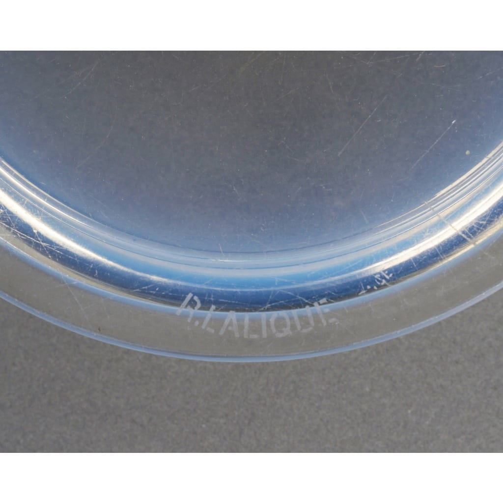 Boîte « Roger » verre opalescent patiné bleu de René LALIQUE 5