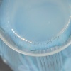 Vase « Danaïdes » verre opalescent patiné bleu de René LALIQUE 19