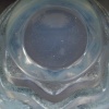 Vase « Méandres » verre opalescent patiné bleu de René LALIQUE 11