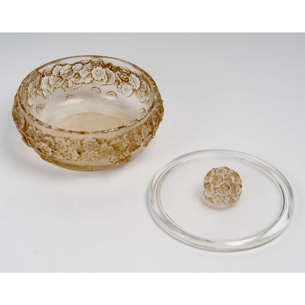 Boîte « Primevères » verre blanc patiné sépia de René LALIQUE 4