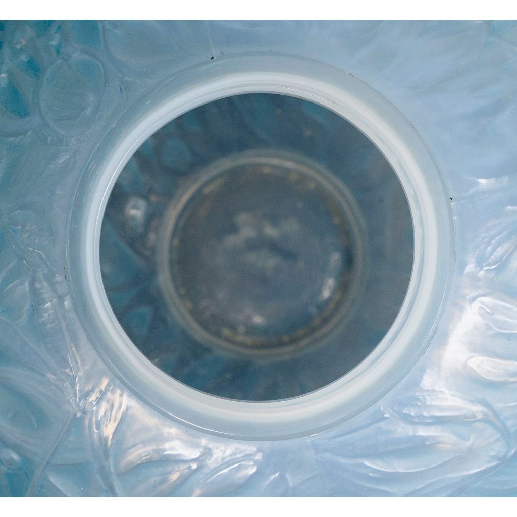 Vase « Gui » verre opalescent patiné bleu de René LALIQUE 7 Vase « Gui » verre opalescent patiné bleu de René LALIQUE 7