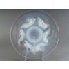 Suite de 6 Assiettes « Ondines » verre opalescent de René LALIQUE 14