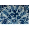 Paire de plats en faïence de Delft à décor floral, signés de la manufacture Pot à Fleurs Dorées, circa 1740-1760 15