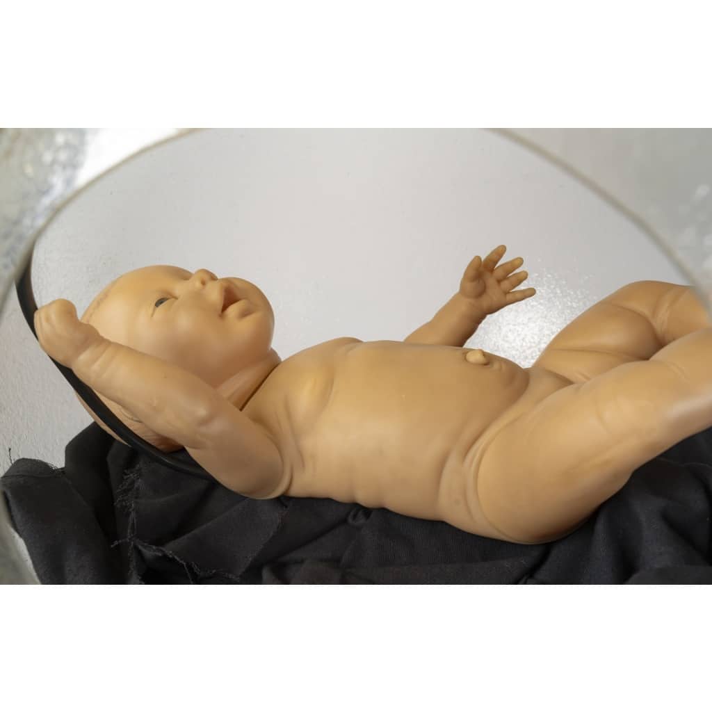 L’homme enceinte 12