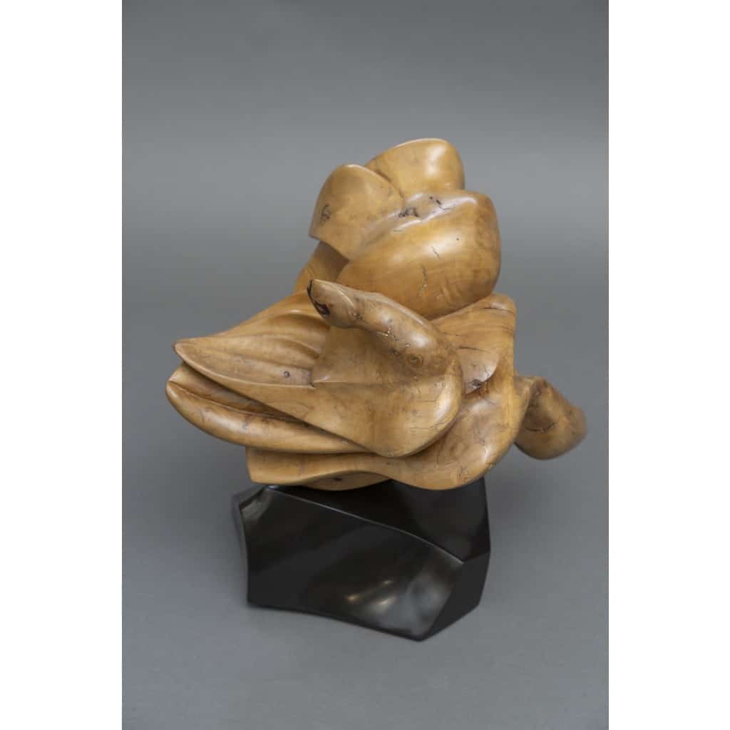 Sculpture Abstraite en Bois- Bernard Grassias 13 Sculpture Abstraite en Bois- Bernard Grassias 13