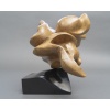 Sculpture Abstraite en Bois- Bernard Grassias 30 Sculpture Abstraite en Bois- Bernard Grassias 30